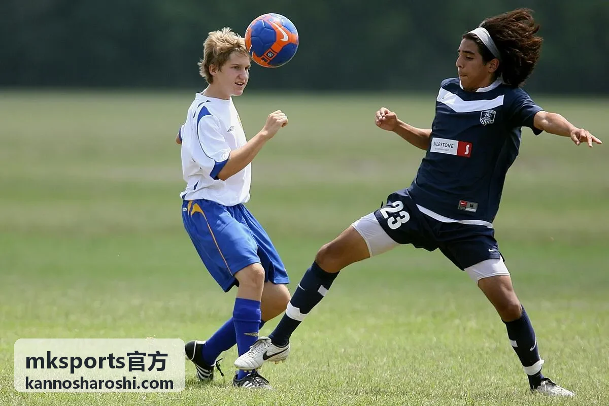 mksports官方赛事直播预约页面展示的体育馆看台