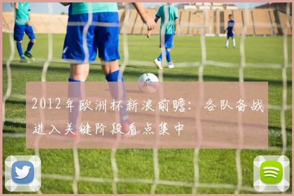 2012年欧洲杯新浪前瞻：各队备战进入关键阶段看点集中