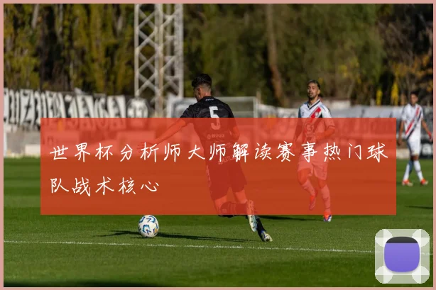 世界杯分析师大师解读赛事热门球队战术核心