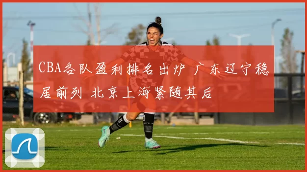 CBA各队盈利排名出炉 广东辽宁稳居前列 北京上海紧随其后