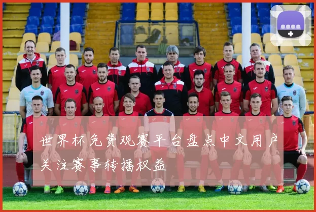 世界杯免费观赛平台盘点中文用户关注赛事转播权益