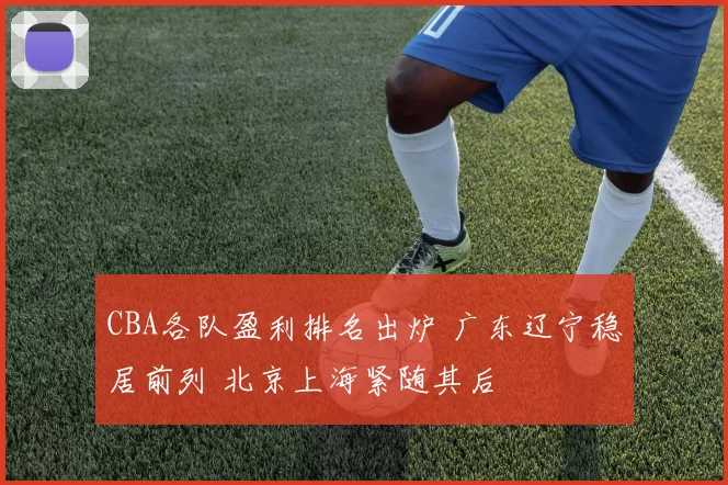 CBA各队盈利排名出炉 广东辽宁稳居前列 北京上海紧随其后