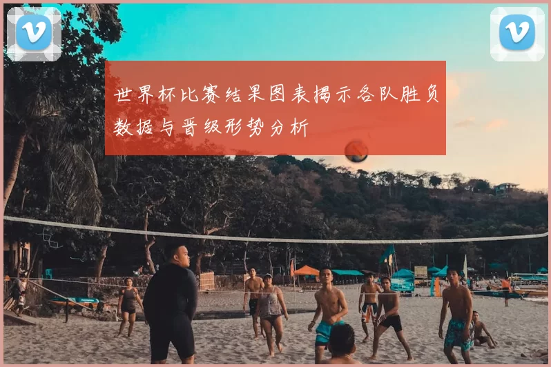 世界杯比赛结果图表揭示各队胜负数据与晋级形势分析